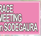 2013 SPRING RACE MEETING in SODEGAURA